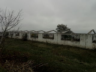 Ферма для животноводства в Шолданештском р-не, на берегу Днестра. foto 7