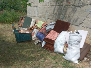 Evacuam Gunoi,Вывоз мусора. foto 2