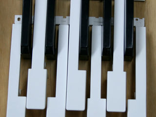 Clape pentru sintezatoare și piane electrice de orice model. foto 4