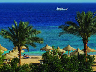 Egypt-Sharm El Sheikh 17.12.2024" Hotel Baron Resort 5* " de la "Emirat Travel" foto 8