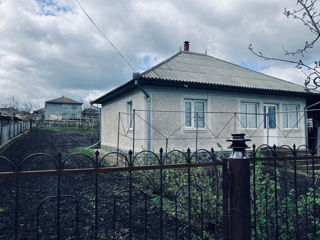 Дом и хозяйство - город Дондюшаны  фото 1