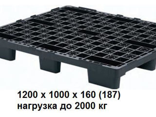 Export Plastic Pallet : 1200x1000 + 1200x800 foto 3