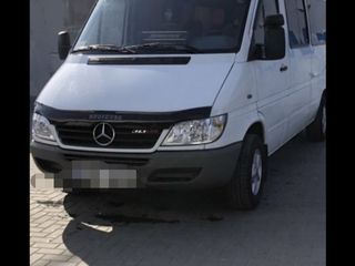 Transport Moldova, Polonia Căușeni-Anini-Noi-Chișinău-Orhei-Telenești-Soroca-Bălți-Rîșcani-Briceni