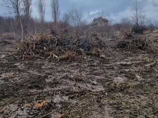 Сделаем генеральную уборку на Вашем земельном участке. foto 2