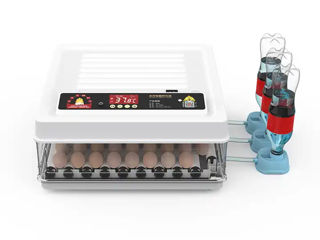 Incubator pentru oua Demetra MD-130, 4 luni - 0%, livrare gratuita - FlexMag foto 2