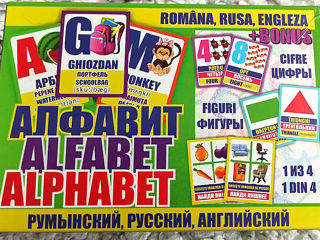 Развивающе-обучающие карточки по типу Домана на трех языках сразу (рум, рус, и англ + транскрипция) foto 6