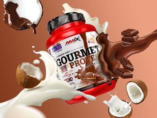 Amix Gourmet Protein Premium 1000 gr. foto 2