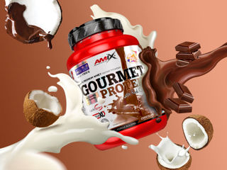 Amix Gourmet Protein Premium 1000 gr. фото 2