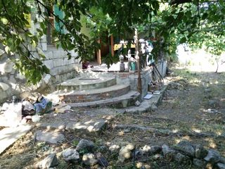 urgent vand casa in loc bun in satul Cojusna foto 2