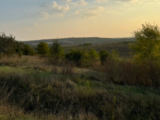 Se vinde teren:traseul ialoveni-bacioi foto 9