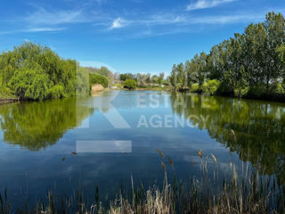 Negociabil .Teren agricol 90 ha , cu lac ( iaz ) spre vinzare . foto 2