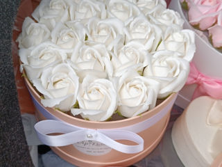 Trandafiri parfumaţi foto 8