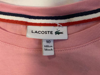 Tricou lacoste foto 2