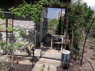 Aer curat si liniste. Este fîntînă cu apa potabilă,s-au schimb pe garaj în Chișinău. foto 3