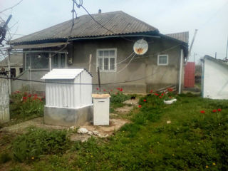 Продам дом  в районе Бричаны село Ширеуць возле города Липканы foto 10