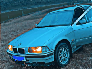 BMW 3 Series foto 6