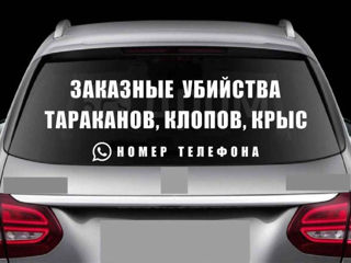 Наклейки на авто  Inscriptii Auto Реклама на авто Publicitate pe auto foto 6