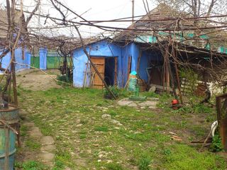 Продам недорого родительский дом в деревне-14000 евро foto 2