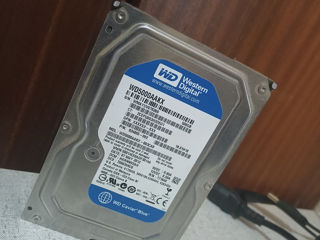 WD HDD 3.5 500GB