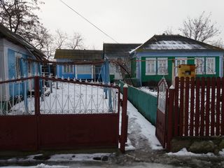 продаю дом в центре села  циплицешть р-н сынжерей