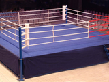 спортивное оборудование, борцовские ковры, спортивные маты, боксёрские ринги foto 4