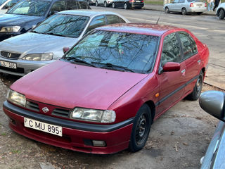 Nissan Primera foto 7