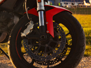 Ducati Monster 797 foto 5