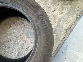 2022 Continental 195/65 r15 wintercontact ts 870 foto 6