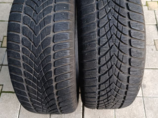 225 50 17 Dunlop iarnă 80%