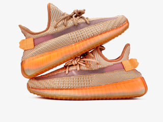 Adidas Yeezy Boost 350 V2 Clay foto 5