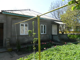 Продается дом foto 5