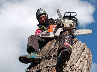 Defrisarea copacelor. Arborist! Taierea copacilor în spații închise. Alipinist. foto 8