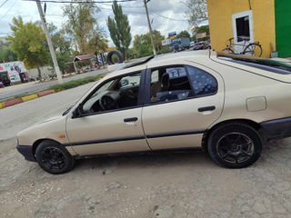 Nissan Primera foto 9