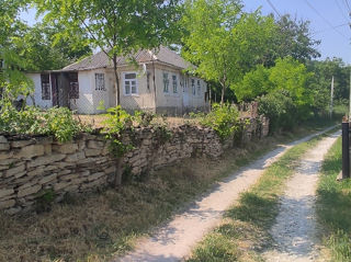 Căsuța în satul Mereșeuca, 8 km de la Naslavcea foto 2