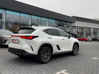 Lexus NX Series foto 4