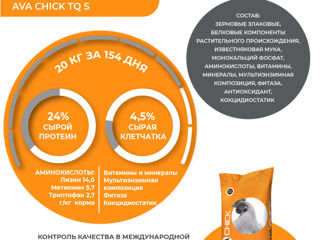 AVA CHICK TQ S - СТАРТОВЫЙ КОМБИКОРМ ДЛЯ ИНДЮШАТ foto 1