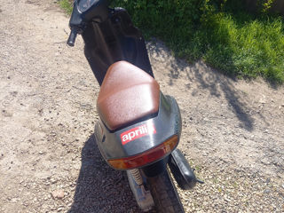 Aprilia SR50 foto 2