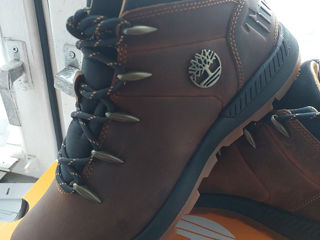 Timberland  Italy foto 3