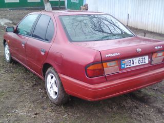 Nissan Primera foto 5