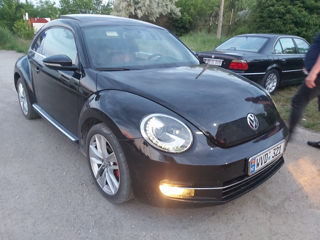 Volkswagen Beetle foto 3