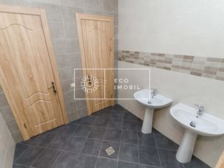 Bănulescu-Bodoni, chirie 440 m.p. oficiu, 5500 € foto 8