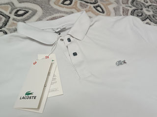 Tricou Polo Lacoste