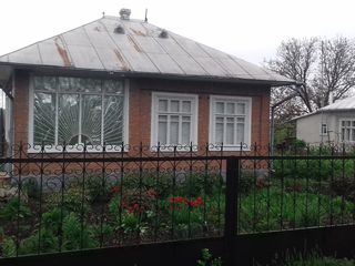 Vind urgent casa, satul Gribova !!! foto 4