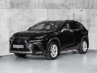 Lexus NX Series