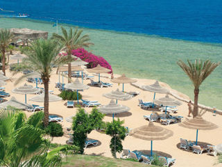 Египет!Queen Sharm Resort 4*-310 €