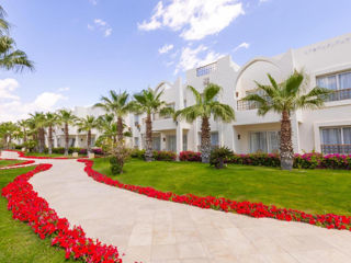 Супер предложение на Египет!!! Отель - Swissotel Sharm El Sheikh All Inclusive Collection 5* foto 9