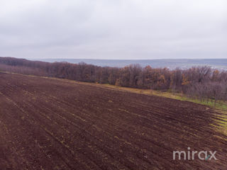 com. Ghidighici, Chișinău, Moldova foto 13