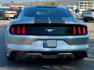 Ford Mustang foto 7