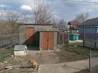 Продается дом в селе Маркауци Бричанского района по всем вопросам звонить по телефону foto 4