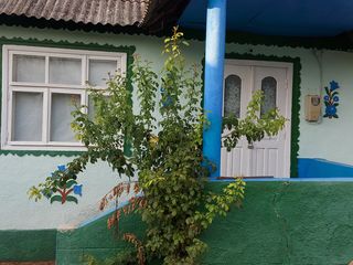 Se vinde casă bătrînească în  r. Orhei, satul Mitoc. foto 2